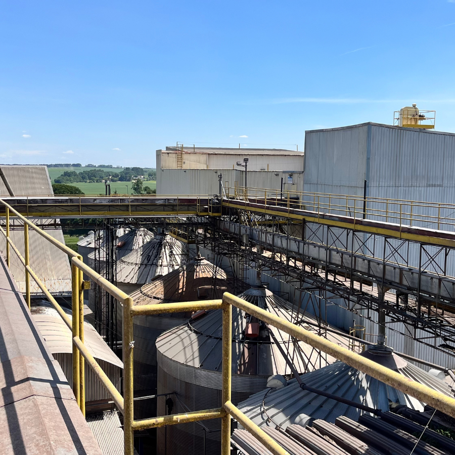 Design sem nome (33)